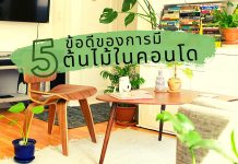 5 ข้อดีของการมี “ต้นไม้” ในคอนโด 5 ข้อดีของการมีต้นไม้ในคอนโด