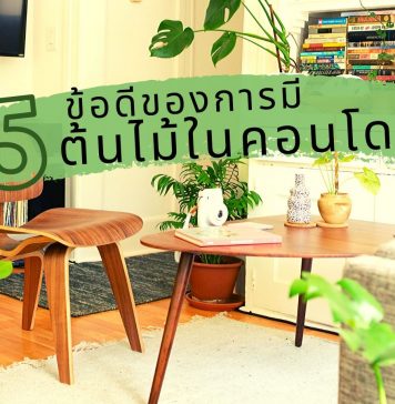 5 ข้อดีของการมี “ต้นไม้” ในคอนโด 5 ข้อดีของการมีต้นไม้ในคอนโด