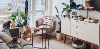 เเต่งคอนโดด้วยต้นไม้ 5 ชนิดที่ปลูกในห้องได้ดี เเถมดูเเลง๊ายง่าย เเต่งคอนโดด้วยต้นไม้ 5 ชนิดที่ปลูกในห้องได้ดี เเถมดูเเลง๊ายง่าย