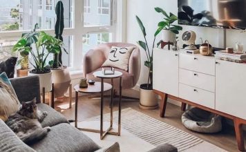 เเต่งคอนโดด้วยต้นไม้ 5 ชนิดที่ปลูกในห้องได้ดี เเถมดูเเลง๊ายง่าย เเต่งคอนโดด้วยต้นไม้ 5 ชนิดที่ปลูกในห้องได้ดี เเถมดูเเลง๊ายง่าย