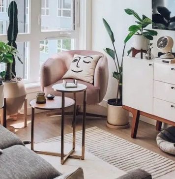 เเต่งคอนโดด้วยต้นไม้ 5 ชนิดที่ปลูกในห้องได้ดี เเถมดูเเลง๊ายง่าย เเต่งคอนโดด้วยต้นไม้ 5 ชนิดที่ปลูกในห้องได้ดี เเถมดูเเลง๊ายง่าย