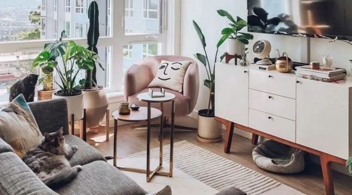 เเต่งคอนโดด้วยต้นไม้ 5 ชนิดที่ปลูกในห้องได้ดี เเถมดูเเลง๊ายง่าย เเต่งคอนโดด้วยต้นไม้ 5 ชนิดที่ปลูกในห้องได้ดี เเถมดูเเลง๊ายง่าย