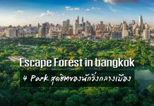 Escape Forest in Bangkok กับ 4 PARK สุดฮิตของนักวิ่งกลางเมือง