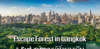 Escape Forest in Bangkok กับ 4 PARK สุดฮิตของนักวิ่งกลางเมือง