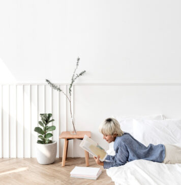 ต้นไม้ปลูกในห้องนอน ควรเลือกยังไง ต้นไม้ปลูกในห้องนอน