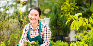 แนะวิธี ปลูกผักสวนครัวในคอนโดง่ายๆ แม้มีพื้นที่จำกัด ปลูกผักสวนครัวในคอนโดง่าย