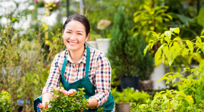 แนะวิธี ปลูกผักสวนครัวในคอนโดง่ายๆ แม้มีพื้นที่จำกัด ปลูกผักสวนครัวในคอนโดง่าย