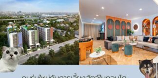 ทำไมคนรุ่นใหม่ถึงมองหาคอนโดเลี้ยงสัตว์ได้ในกรุงเทพฯ feature image