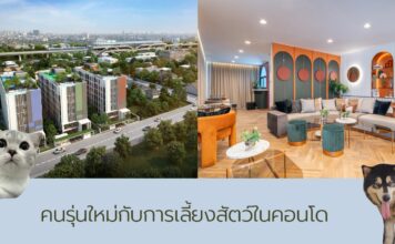 ทำไมคนรุ่นใหม่ถึงมองหาคอนโดเลี้ยงสัตว์ได้ในกรุงเทพฯ feature image