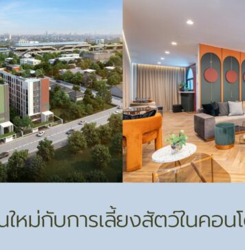 ทำไมคนรุ่นใหม่ถึงมองหาคอนโดเลี้ยงสัตว์ได้ในกรุงเทพฯ feature image