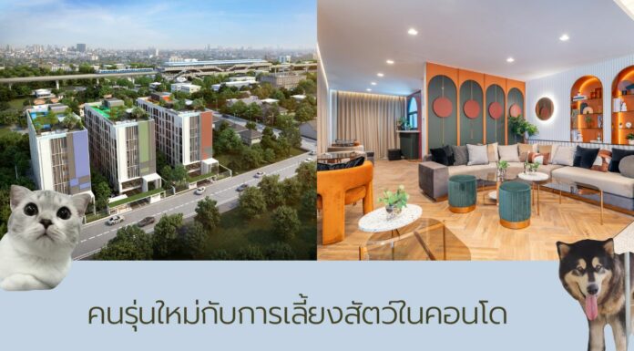 ทำไมคนรุ่นใหม่ถึงมองหาคอนโดเลี้ยงสัตว์ได้ในกรุงเทพฯ feature image