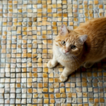 กระเบื้องยาง pet friendly