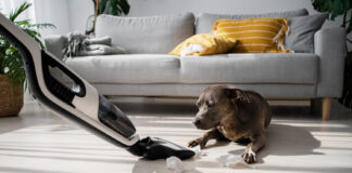 วิธีทำความสะอาดคอนโด ที่เลี้ยงน้องหมาแมว วิธีทำความสะอาดคอนโด ที่เลี้ยงน้องหมาแมว