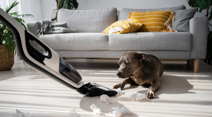 วิธีทำความสะอาดคอนโด ที่เลี้ยงน้องหมาแมว วิธีทำความสะอาดคอนโด ที่เลี้ยงน้องหมาแมว