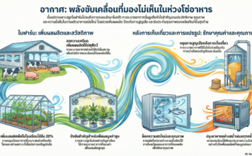 รหัสลับแห่งอนาคตอาหาร: 5 ข้อเท็จจริงที่พิสูจน์ว่า ‘อากาศ’ คือปัจจัยการผลิตที่ทรงพลังที่สุด smart farm eco system