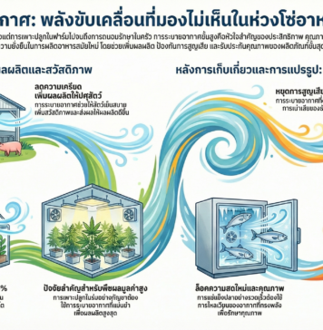 รหัสลับแห่งอนาคตอาหาร: 5 ข้อเท็จจริงที่พิสูจน์ว่า ‘อากาศ’ คือปัจจัยการผลิตที่ทรงพลังที่สุด smart farm eco system