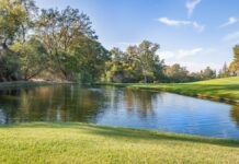 มิสทิฟฟานี่ 2026: อนาคตของความงดงาม Photo tiffany 2026