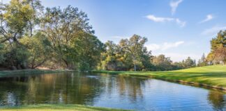 มิสทิฟฟานี่ 2026: อนาคตของความงดงาม Photo tiffany 2026