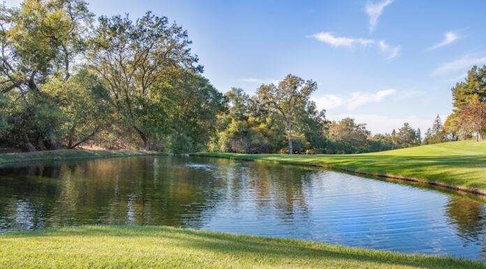 มิสทิฟฟานี่ 2026: อนาคตของความงดงาม Photo tiffany 2026