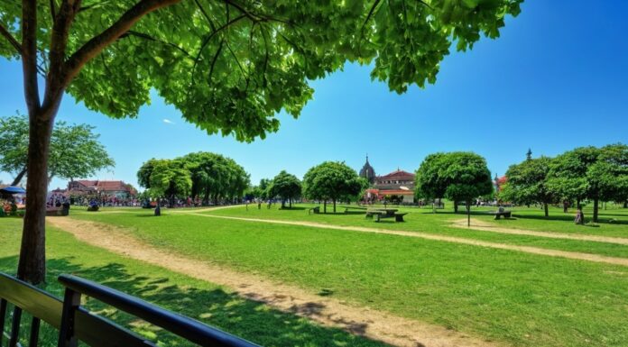 วันหยุดราชการ 2569: วันพักผ่อนที่รอคอย Photo public holiday