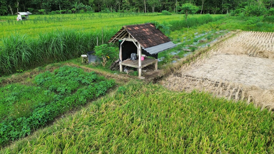 Photo ข้าว กล่อง จัด เลี้ยง
Keyword: ข้าว กล่อง (boxed rice)